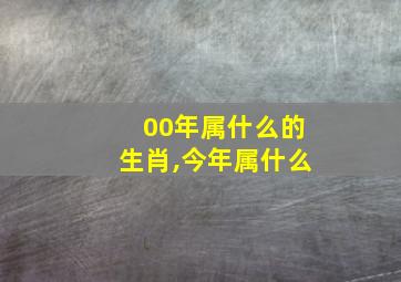 00年属什么的生肖,今年属什么