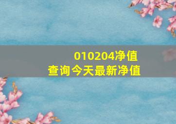 010204净值查询今天最新净值