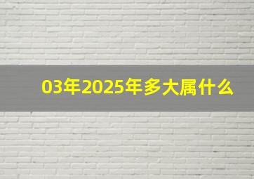 03年2025年多大属什么