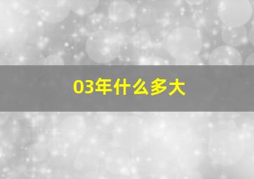 03年什么多大