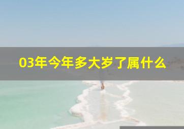 03年今年多大岁了属什么