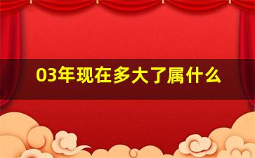 03年现在多大了属什么