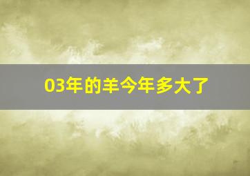 03年的羊今年多大了