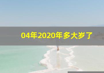 04年2020年多大岁了