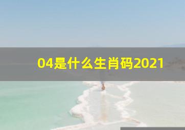 04是什么生肖码2021