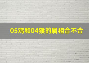 05鸡和04猴的属相合不合