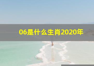 06是什么生肖2020年