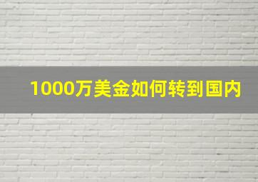 1000万美金如何转到国内