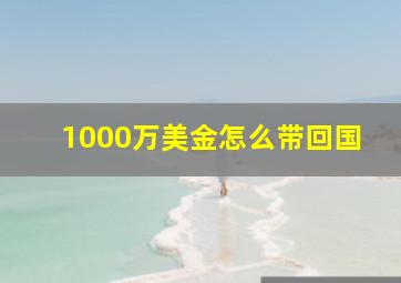 1000万美金怎么带回国