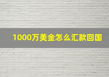 1000万美金怎么汇款回国