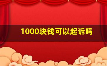 1000块钱可以起诉吗