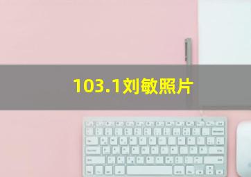 103.1刘敏照片