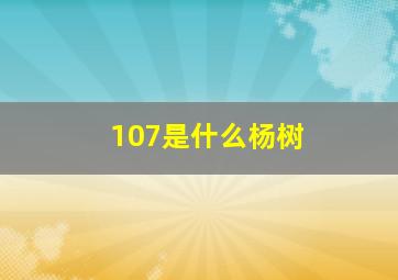 107是什么杨树