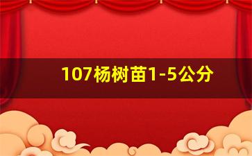 107杨树苗1-5公分