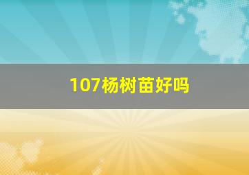 107杨树苗好吗