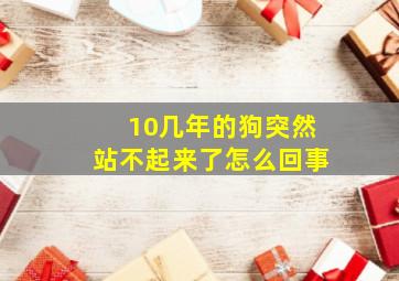 10几年的狗突然站不起来了怎么回事