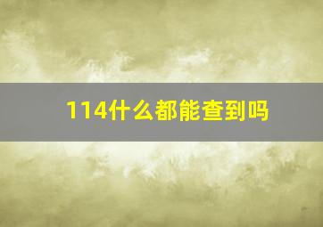 114什么都能查到吗