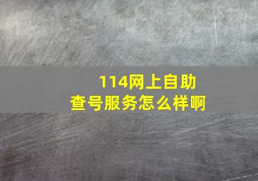 114网上自助查号服务怎么样啊