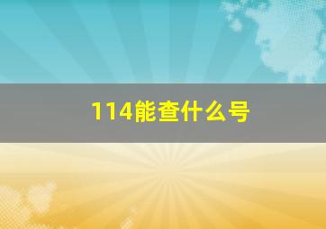 114能查什么号