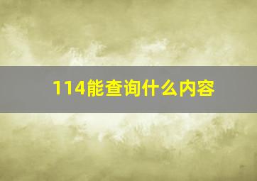 114能查询什么内容