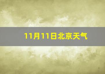 11月11日北京天气