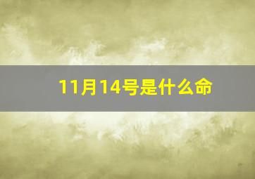 11月14号是什么命