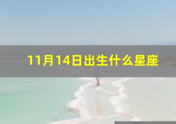 11月14日出生什么星座