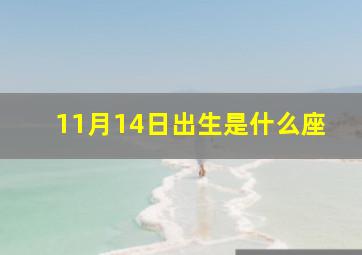 11月14日出生是什么座