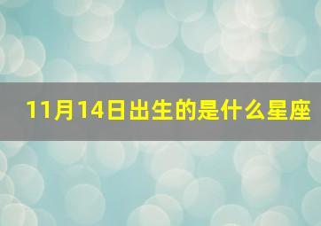 11月14日出生的是什么星座