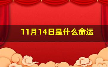 11月14日是什么命运