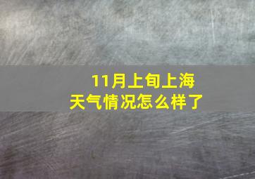 11月上旬上海天气情况怎么样了