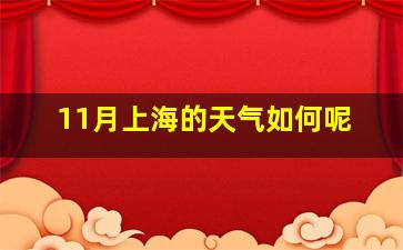 11月上海的天气如何呢