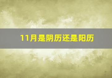 11月是阴历还是阳历