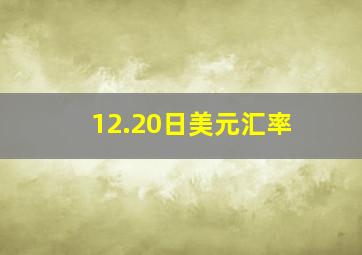 12.20日美元汇率