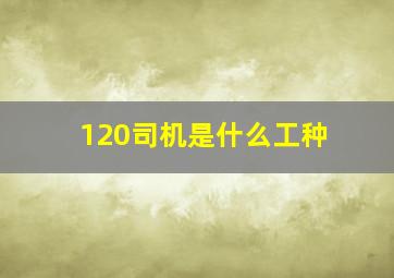 120司机是什么工种