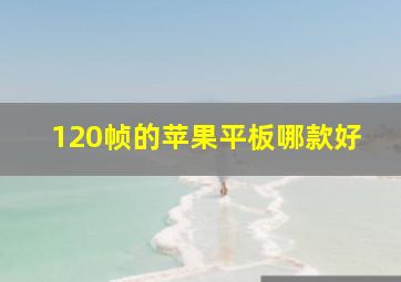 120帧的苹果平板哪款好