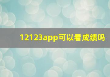 12123app可以看成绩吗