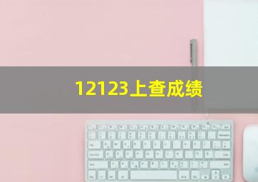 12123上查成绩