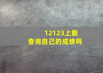 12123上能查询自己的成绩吗