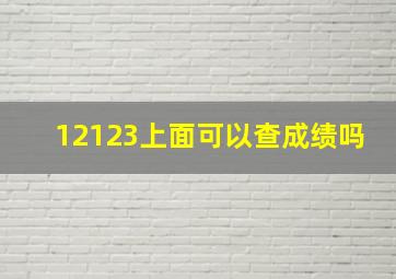 12123上面可以查成绩吗