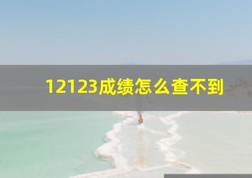 12123成绩怎么查不到