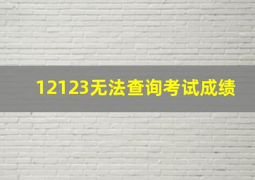 12123无法查询考试成绩