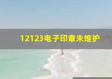 12123电子印章未维护