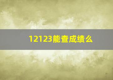 12123能查成绩么