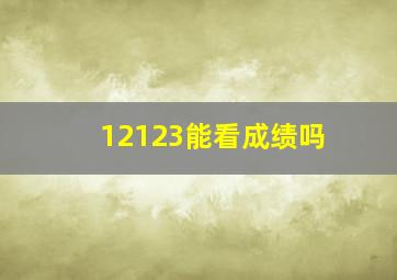 12123能看成绩吗