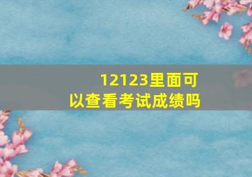 12123里面可以查看考试成绩吗