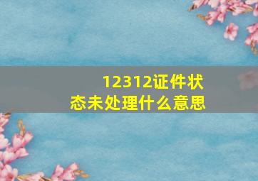 12312证件状态未处理什么意思