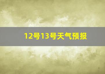 12号13号天气预报