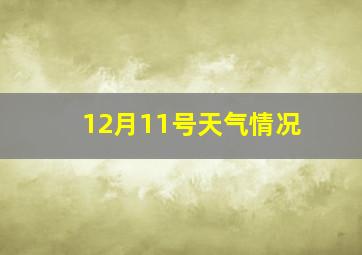 12月11号天气情况