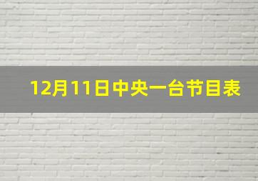 12月11日中央一台节目表